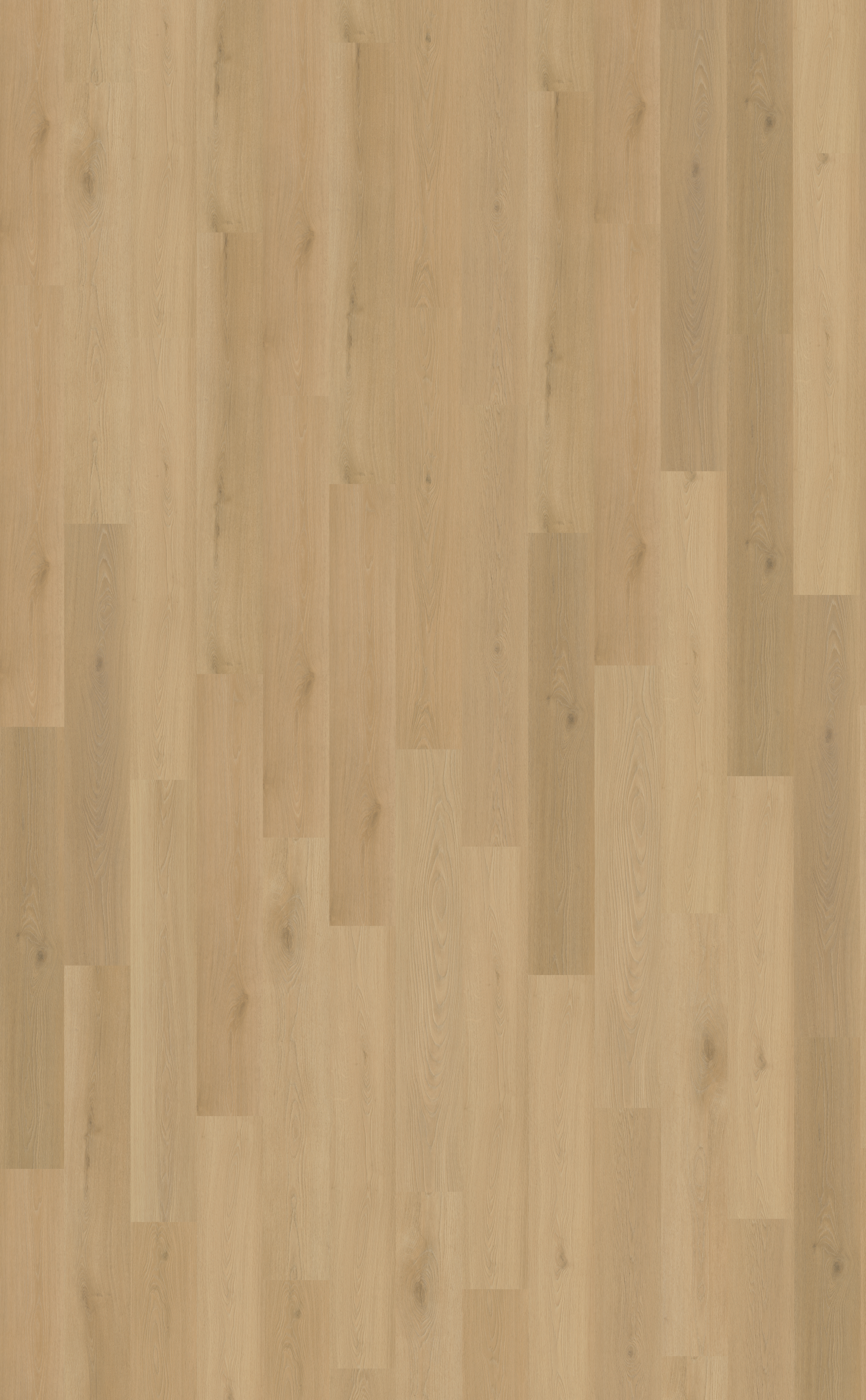 Borgo 300 | Rigid Click